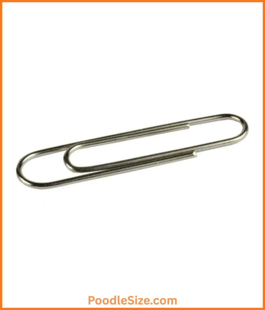 paperclips-40-inches