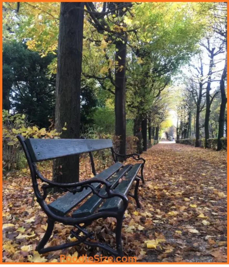 park-benches-25-feet