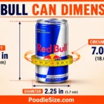 red-bull-can-dimensions