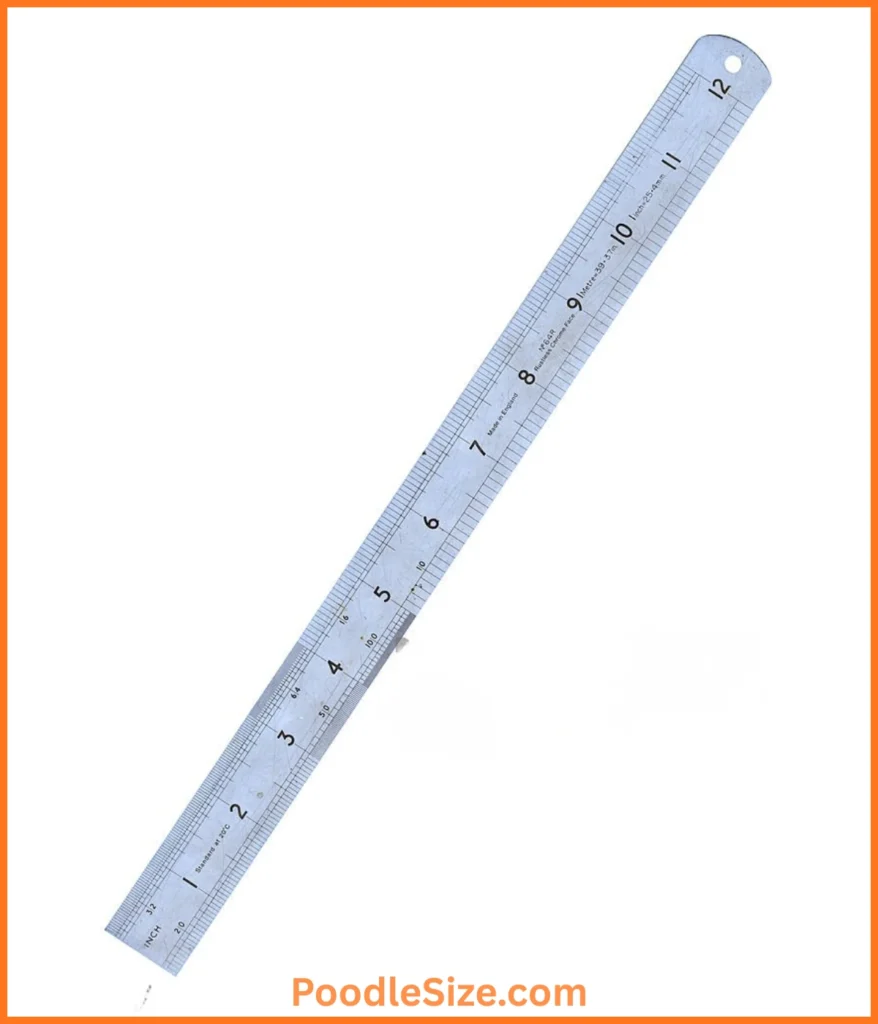 ruler-12-inches