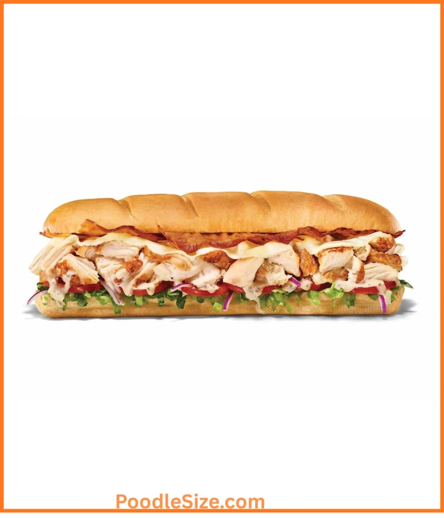 sandwich-11-inches