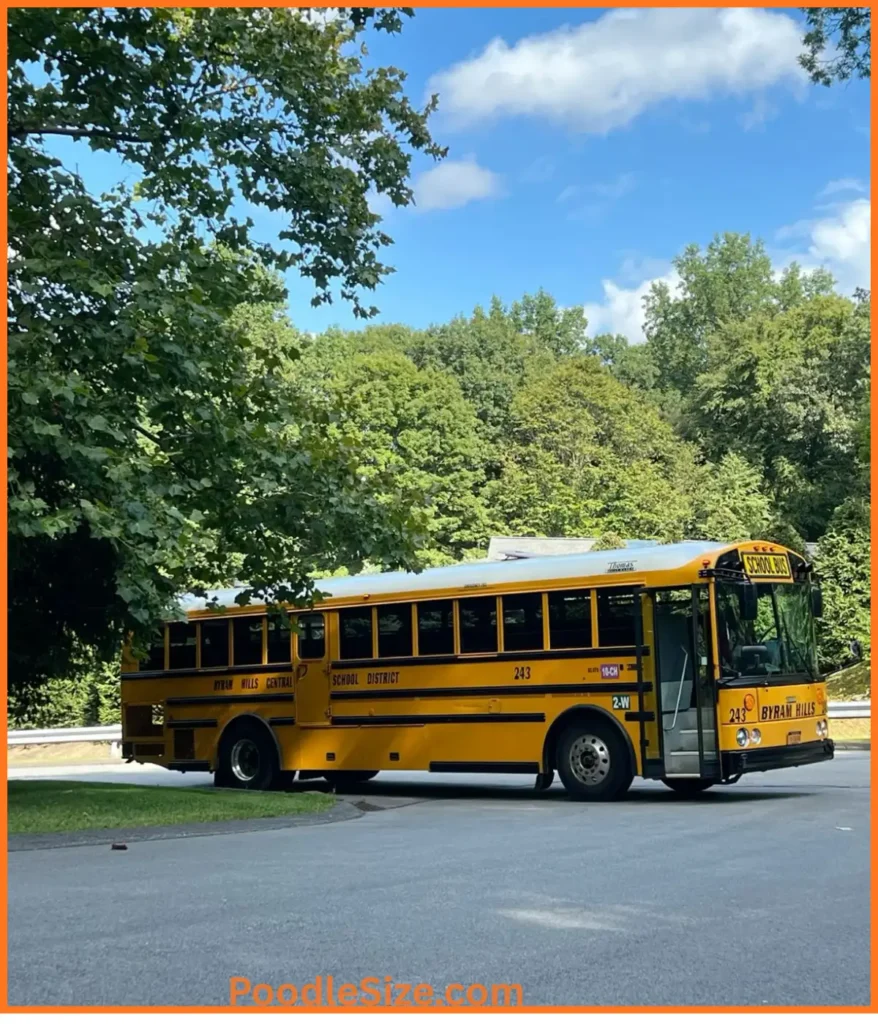 school-bus-30-feet
