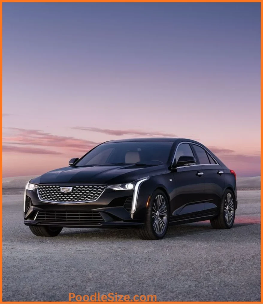 sedan-100-feet