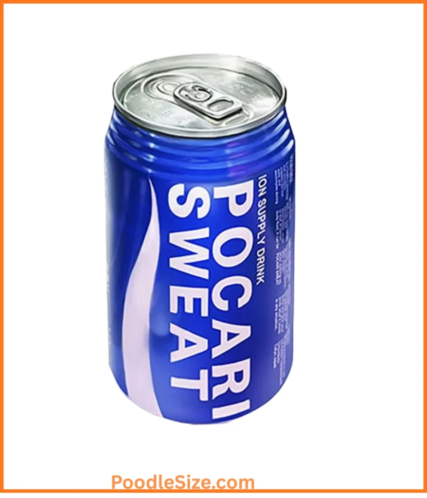 soda-can-10-ounces