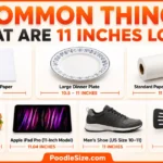 things-that-are-11-inches-long