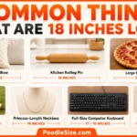 things-that-are-18-inches-long