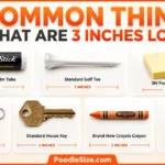 things-that-are-3-inches-long