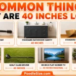 things-that-are-40-inches-long