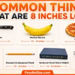 things-that-are-8-inches-long