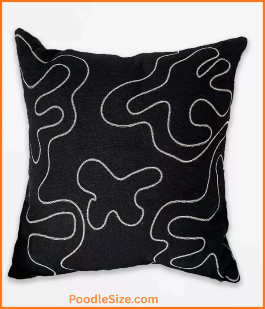 throw-pillow-16-inches