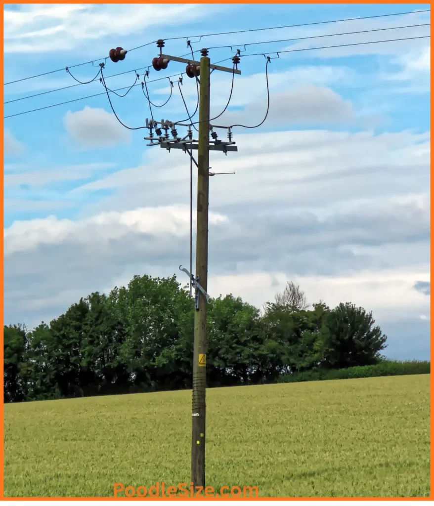 utility-pole-30-feet