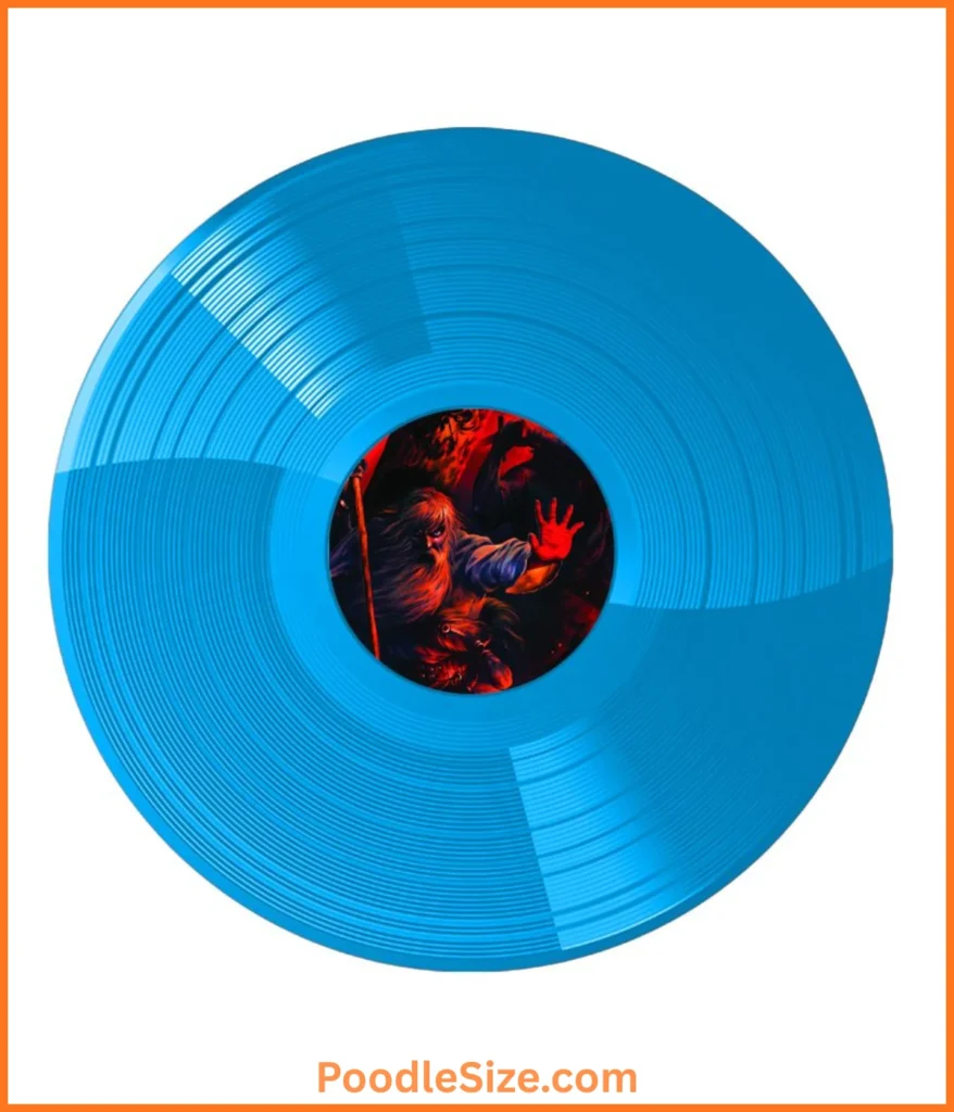 vinyl-lp-12-inches