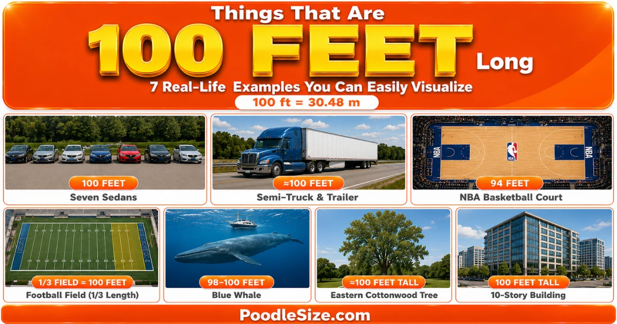 what-is-100-feet-long