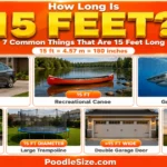 How Long Is 15 Feet ? Common Things & Everyday Examples – 2026 what-is-15-feet-long
