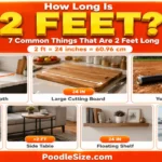 How Long Is 2 Feet ? Common Things & Everyday Examples – 2026 what-is-2-feet-long