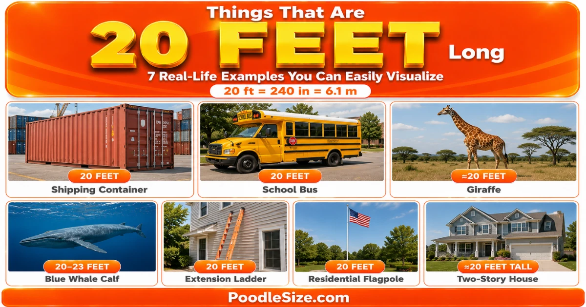 what-is-20-feet-long