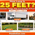 How Long Is 25 Feet ? Common Things & Everyday Examples – 2026 what-is-25-feet-long