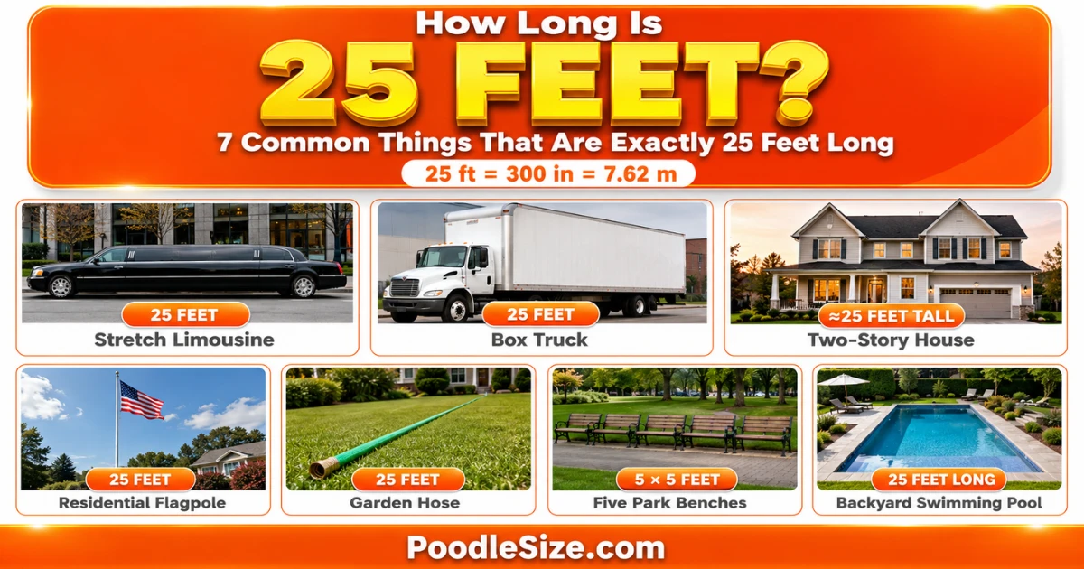 what-is-25-feet-long