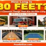 How Long Is 30 Feet ? Common Things & Everyday Examples – 2026 what-is-30-feet-long