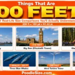 How Long Is 300 Feet ? Common Things & Everyday Examples – 2026 what-is-300-feet-long