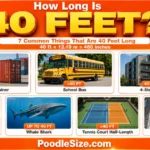 How Long Is 40 Feet ? Common Things & Everyday Examples – 2026 what-is-40-feet-long
