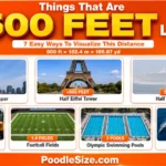 what-is-500-feet-long