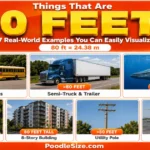 what-is-80-feet-long