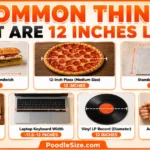 things-that-are-12-inches-long