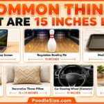 things-that-are-15-inches-long
