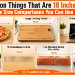things-that-are-16-inches-long