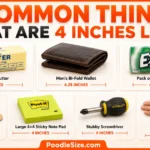 things-that-are-4-inches-long