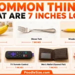 things-that-are-7-inches-long